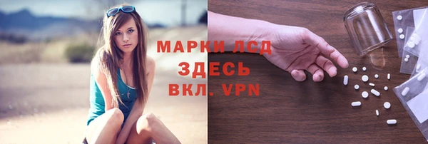 ПСИЛОЦИБИНОВЫЕ ГРИБЫ Гусиноозёрск