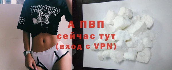 ПСИЛОЦИБИНОВЫЕ ГРИБЫ Гусиноозёрск