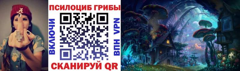 Галлюциногенные грибы MAGIC MUSHROOMS  как найти закладки  Ермолино 