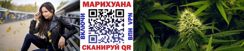 Бошки Шишки планчик  Ермолино 